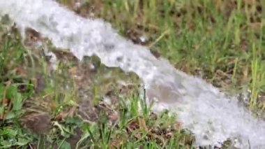 Yeşil çim çimen boyunca saf su akışını