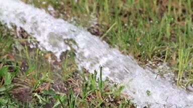 Yeşil çim çimen boyunca saf su akışını