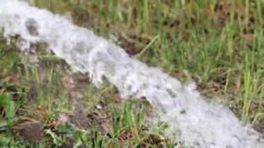 Yeşil çim çimen boyunca saf su akışını