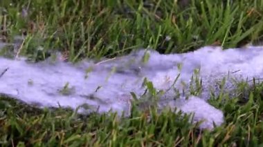 Yeşil çim çimen boyunca saf su akışını