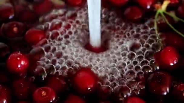 Lebendig Fließendes Klares Wasser Und Reife Rote Süßkirschböden — Stockvideo