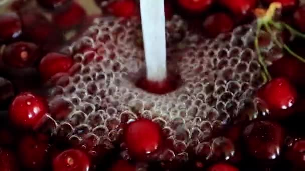 Agua Clara Que Fluye Animado Maduro Rojo Dulce Cereza Pisos — Vídeos de Stock