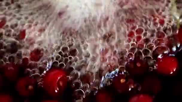 Vivace Scorre Acqua Limpida Maturi Pavimenti Ciliegio Rosso Dolce — Video Stock