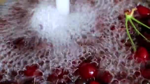 Vivace Scorre Acqua Limpida Maturi Pavimenti Ciliegio Rosso Dolce — Video Stock