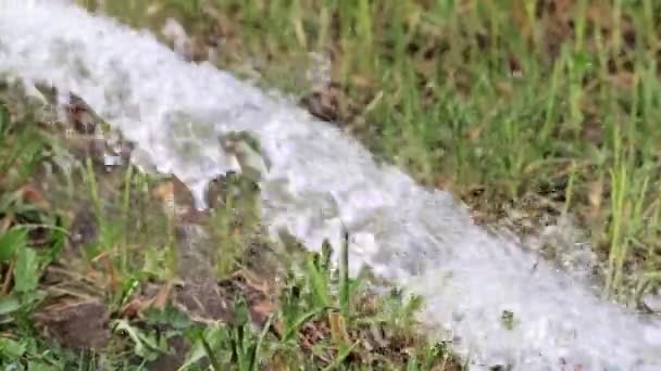 Flödet Rent Vatten Längs Det Gröna Gräsmatta Gräset — Stockvideo