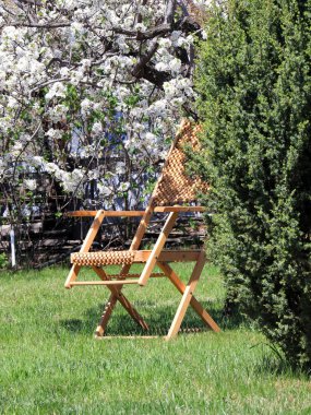 Çiçekli ağacının yanındaki çim çimen üzerinde ahşap bahçe şezlong