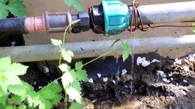 yıpranmış yırtılmış eski lastik boru bağlantı parçaları ile su geçer 