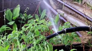 yıpranmış yırtılmış eski lastik boru bağlantı parçaları ile su geçer 