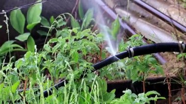 yıpranmış yırtılmış eski lastik boru bağlantı parçaları ile su geçer 