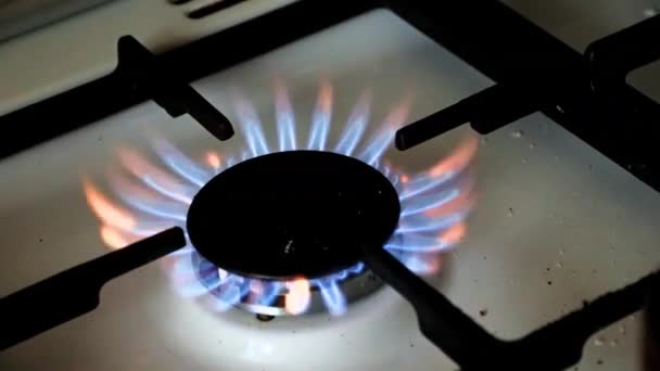 Огонь Природный Газ Горелка Кухонная Плита — стоковое видео