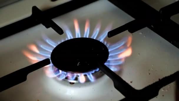 Пожежа Натуральний Газовий Конфорка Кухонна Піч — стокове відео