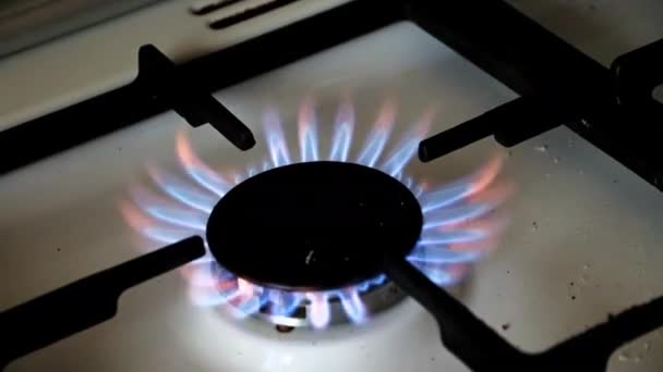 Brand Natuurlijke Aardgas Brander Keuken Oven — Stockvideo