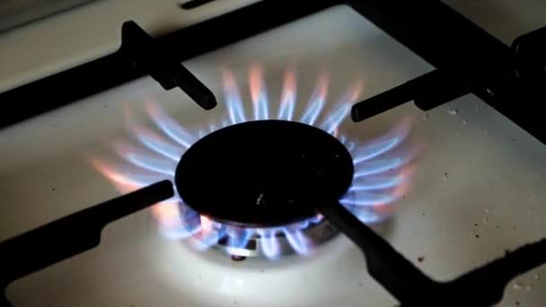 Fuoco Stufa Gas Naturale Cucina Forno — Video Stock