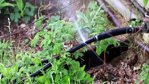 Versleten Gescheurde Oude Rubber Pijp Met Hulpstukken Passeert Water — Stockvideo