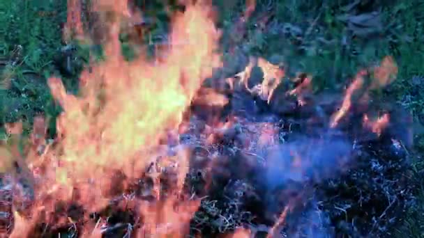 대초원 화재의 불꽃의 연기와 뜨거운 — 비디오