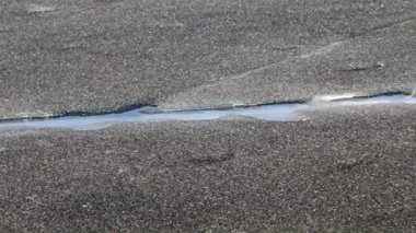 nehir bitkiler bir göl kıyısında buzla kaplı 