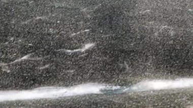 nehir bitkiler bir göl kıyısında buzla kaplı 