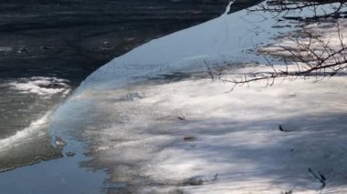 nehir bitkiler bir göl kıyısında buzla kaplı 