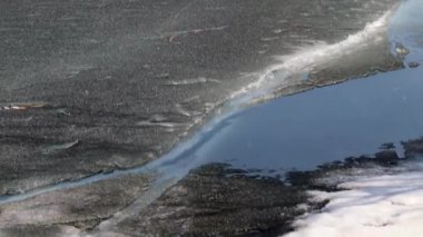 nehir bitkiler bir göl kıyısında buzla kaplı 