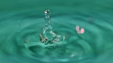 temiz su damlaları içecek konteyner içine bırakarak 