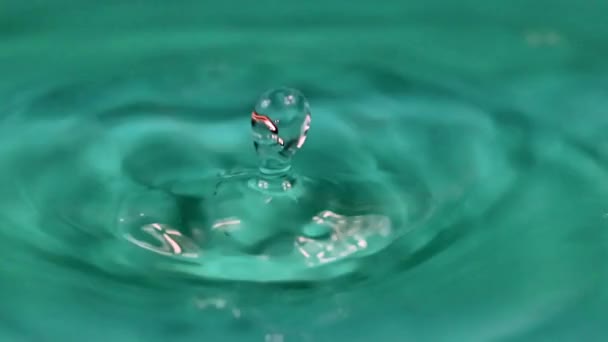 飲料容器にきれいな水の滴を落とすこと — ストック動画