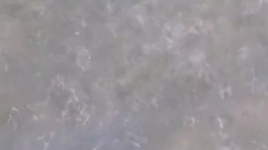 patlamaları ve bir damla su temiz sıvı yüzeyindeki etkisini üzerinden izleri 