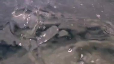 patlamaları ve bir damla su temiz sıvı yüzeyindeki etkisini üzerinden izleri 