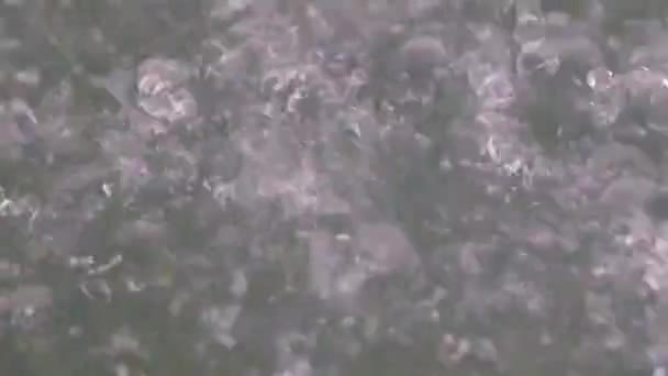 一滴水对清洁液体表面的冲击和痕迹 — 图库视频影像