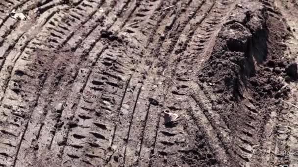 砂漠の表面に車のタイヤの跡 — ストック動画
