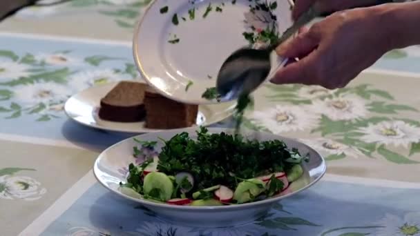 Proces Přípravy Zeleninový Salát Čerstvé Okurky Ředkvičky Přidáním Oleje — Stock video