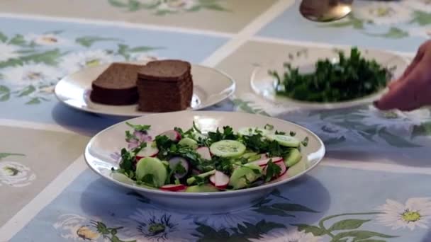 Process Preparation Vegetable Salad Fresh Cucumbers Radishes Addition Oil — Stock Video