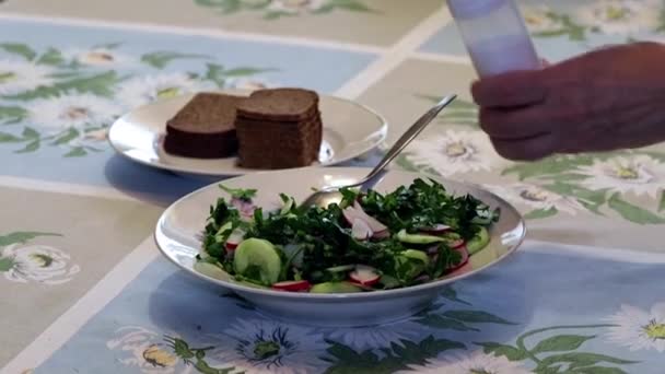 Processo Preparação Salada Vegetal Pepinos Frescos Rabanetes Com Adição Óleo — Vídeo de Stock