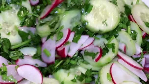 Revolviendo Con Una Cuchara Plato Rábano Fresco Finamente Picado Pepino — Vídeos de Stock