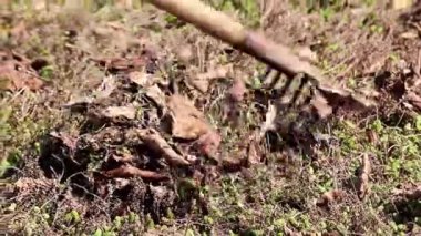 yan yatan eski çim yaprakları Kuru 