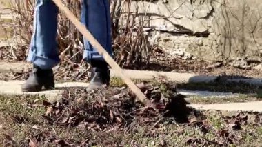 yan yatan eski çim yaprakları Kuru 