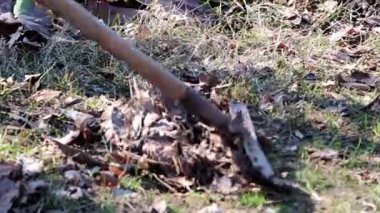 yan yatan eski çim yaprakları Kuru 