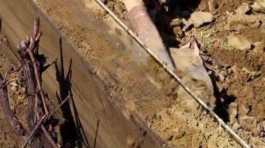 Bahçe toprak tarımsal bir kürekle kazmaya