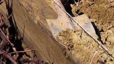 Bahçe toprak tarımsal bir kürekle kazmaya