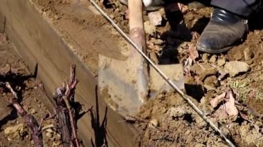 Bahçe toprak tarımsal bir kürekle kazmaya