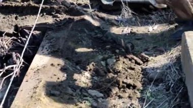 Bahçe toprak tarımsal bir kürekle kazmaya