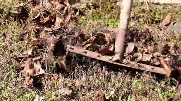 掻き集める古い乾燥した芝生から葉 — ストック動画
