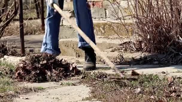 Raking Velhas Folhas Secas Gramado — Vídeo de Stock