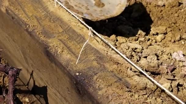 Het Graven Van Tuin Aarde Met Een Agrarische Schop — Stockvideo