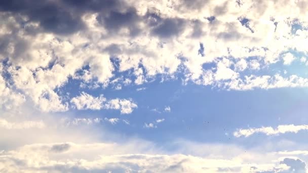 Hermoso Cielo Azul Nublado Sobre Horizonte — Vídeo de stock