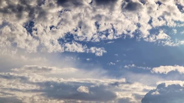 Hermoso Cielo Azul Nublado Sobre Horizonte — Vídeos de Stock