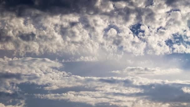 Hermoso Cielo Azul Nublado Sobre Horizonte — Vídeo de stock