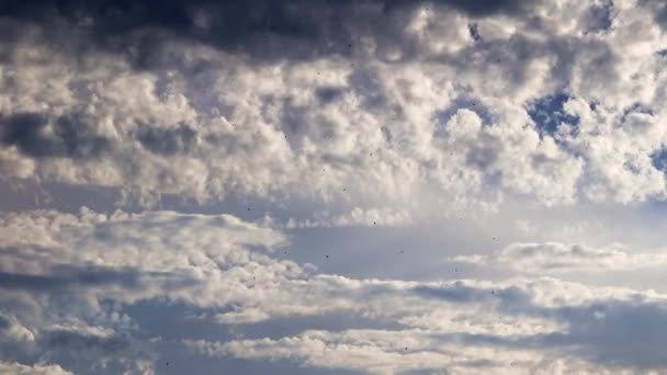 地平线上美丽的蓝色多云的天空 — 图库视频影像