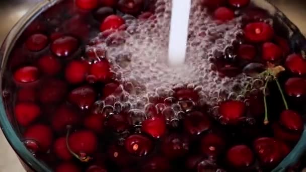 成熟新鲜甜樱桃果在纯净的煮沸的水里 — 图库视频影像
