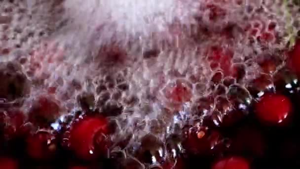 Fruta Fresca Madura Cereza Dulce Agua Hirviendo Pura — Vídeos de Stock