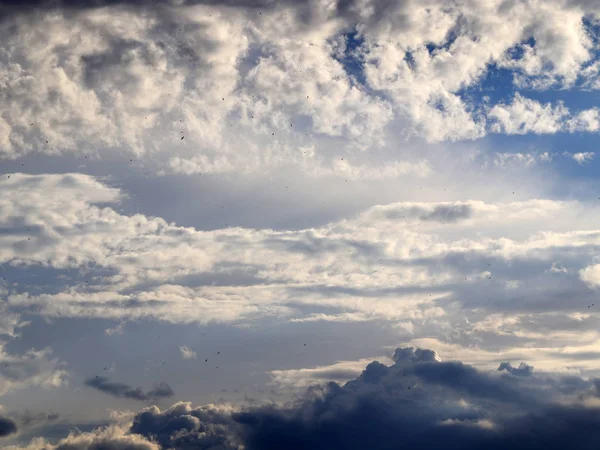 Hermosas Nubes Cielo Soleado Tarde Sobre Horizonte — Foto de Stock